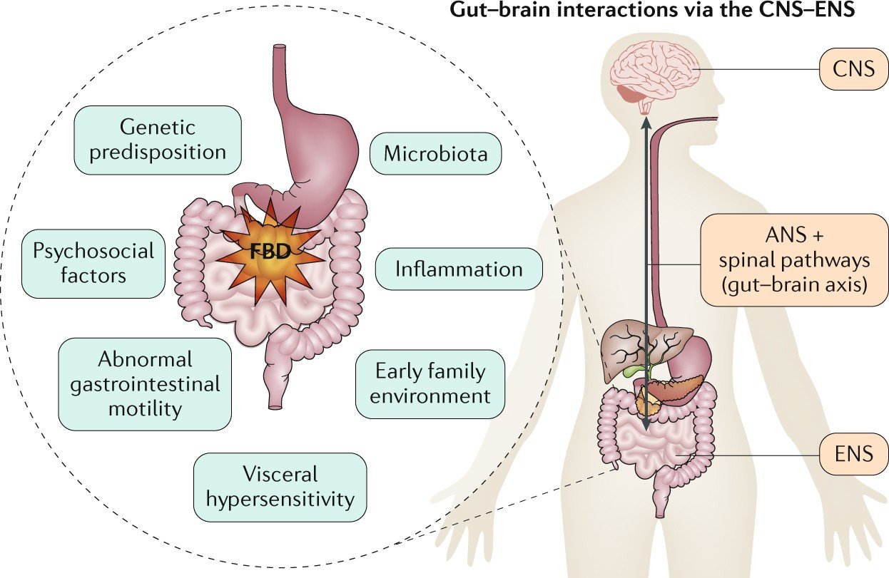 How To Cure a Bad Intestinal Transit 